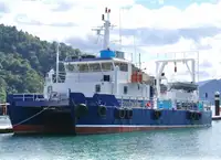 Katamaran untuk jualan