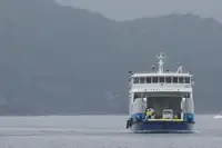 kapal RORO untuk jualan