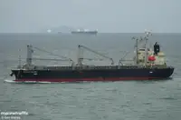 Pembawa pukal untuk jualan
