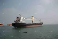Pembawa pukal untuk jualan