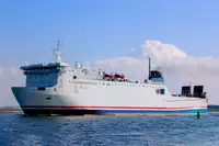 Pembawa pukal untuk jualan