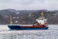 Pembawa pukal untuk jualan