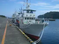 Penangkap ikan pukat tunda untuk jualan