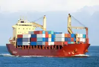 Pembawa pukal untuk jualan