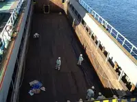 Pembawa pukal untuk jualan