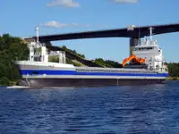 Pembawa pukal untuk jualan