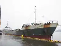 Pembawa pukal untuk jualan