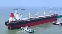 Pembawa pukal untuk jualan