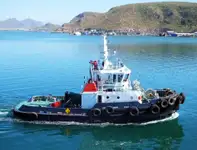 Pembawa pukal untuk jualan