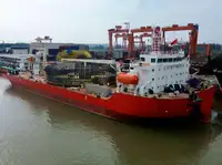 bot penyelamat untuk jualan