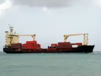 Pembawa pukal untuk jualan