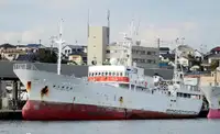 Penangkap ikan pukat tunda untuk jualan