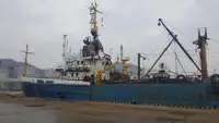Penangkap ikan pukat tunda untuk jualan