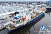 Kapal reefer untuk jualan
