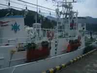 Penangkap ikan pukat tunda untuk jualan
