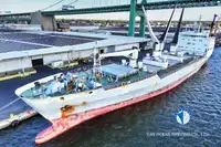 Kapal reefer untuk jualan