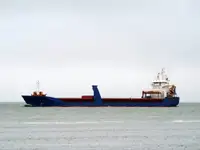 Pembawa pukal untuk jualan