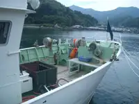 Penangkap ikan pukat tunda untuk jualan