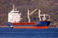 Pembawa pukal untuk jualan