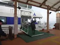 Katamaran untuk jualan