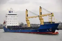 Pembawa pukal untuk jualan