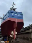 Pembawa pukal untuk jualan