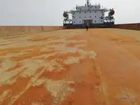 Pembawa pukal untuk jualan