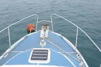 bot penyelamat untuk jualan
