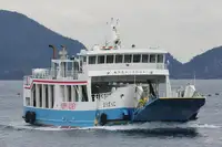 kapal RORO untuk jualan