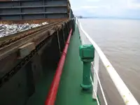 Pembawa pukal untuk jualan