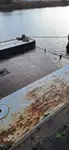 kapal korek untuk jualan