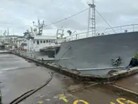 Kapal garis panjang untuk jualan