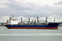 Pembawa pukal untuk jualan