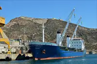 Pembawa pukal untuk jualan