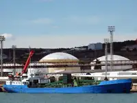 Pembawa pukal untuk jualan