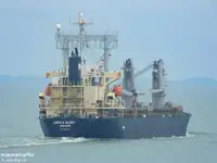 Pembawa pukal untuk jualan