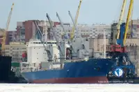 Kapal reefer untuk jualan
