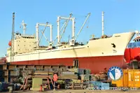 Kapal reefer untuk jualan