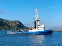 Bot tunda untuk jualan