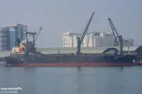 Pembawa pukal untuk jualan