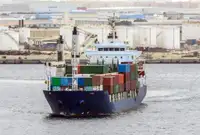 Pembawa pukal untuk jualan