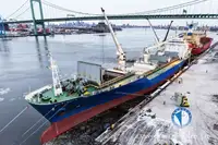 Kapal reefer untuk jualan