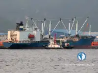 Kapal reefer untuk jualan