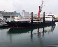 Pembawa pukal untuk jualan