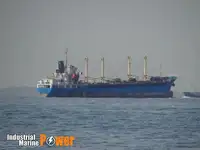 Pembawa pukal untuk jualan