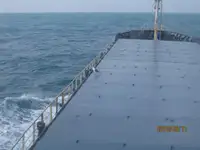 Pembawa pukal untuk jualan