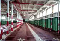 kapal RORO untuk jualan