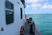 Pelbagai guna untuk jualan