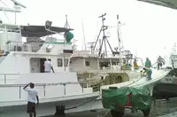 Kapal garis panjang untuk jualan